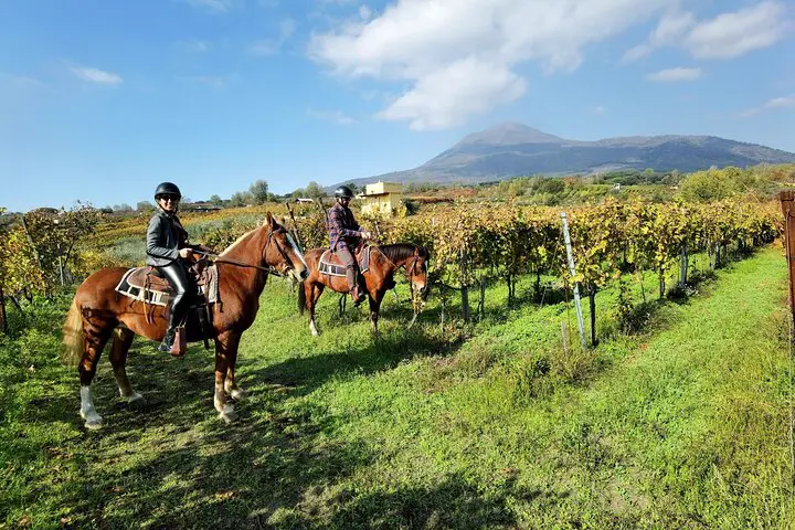 Un’ora a cavallo sui sentieri di lava del Vesuvio