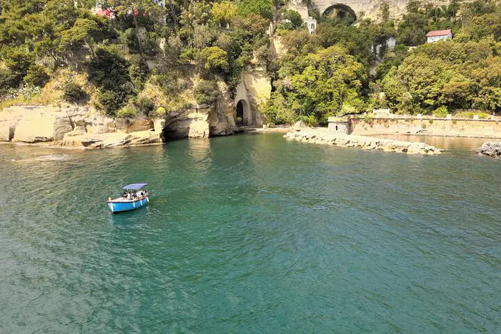 Grotte romane e fondali di Posillipo, con una biologa marina