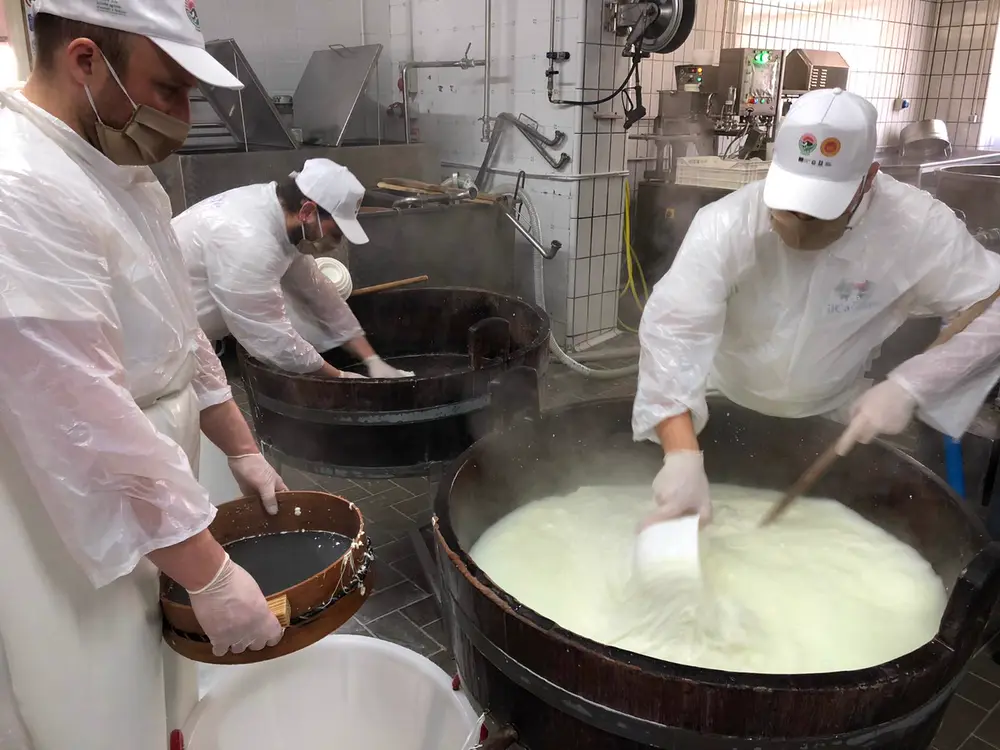 Caseificio di famiglia: mozzarella fatta a mano e tavola in giardino