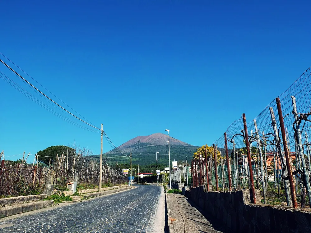 Pranzo in cantina sulle pendici del Vesuvio
