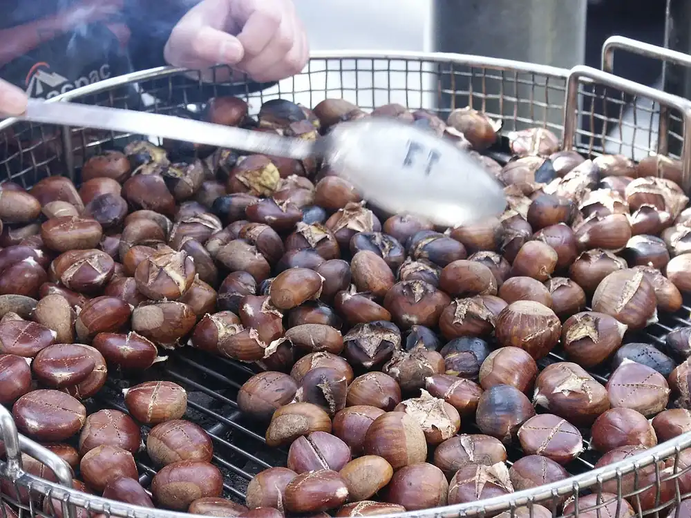 Sagre di novembre 2026 in Campania: castagne e vino novello